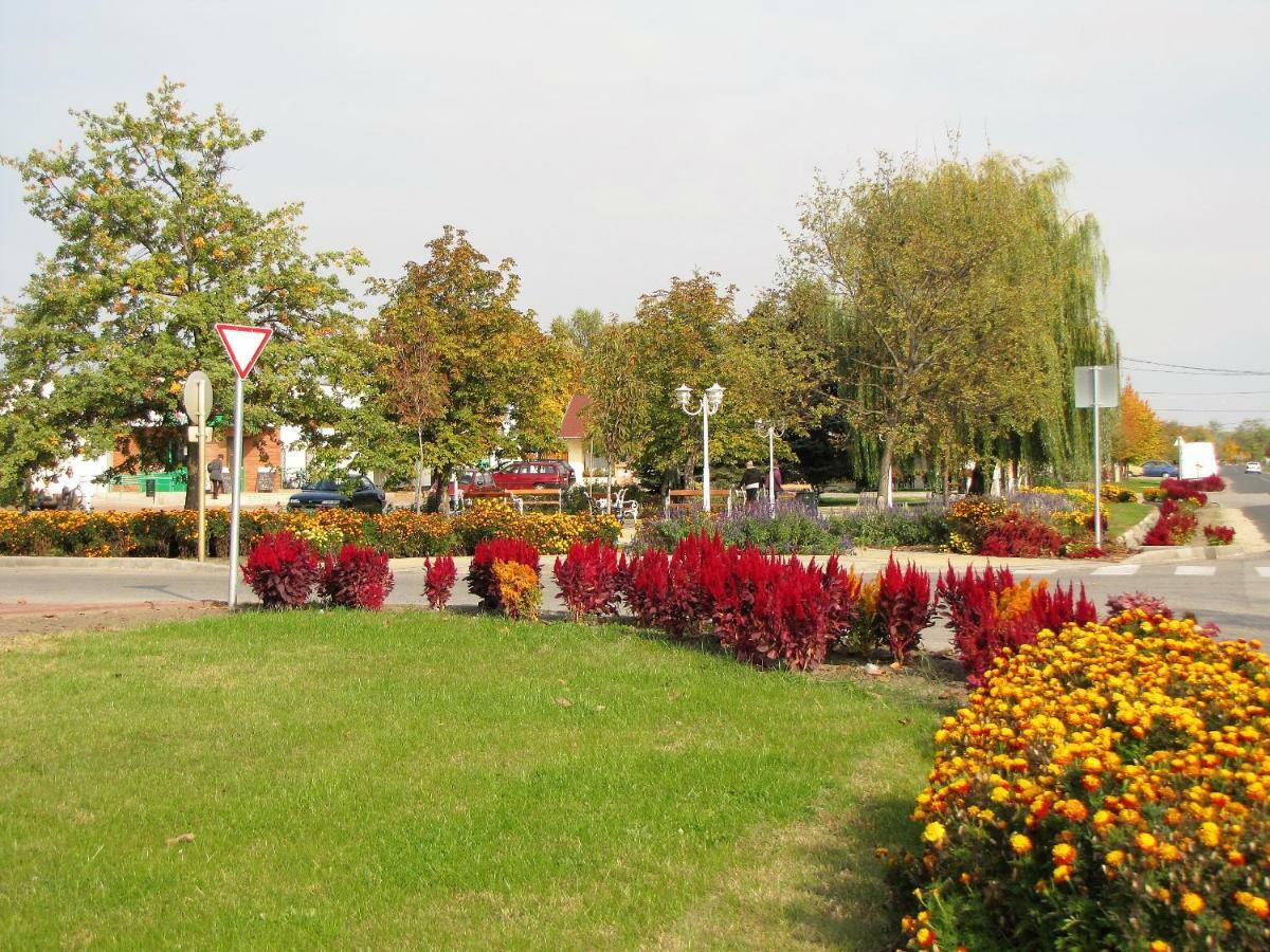 Platán Vendégház Csemo Exterior foto